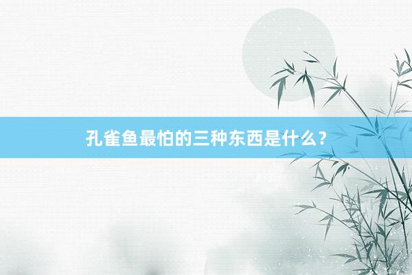 孔雀鱼最怕的三种东西是什么？